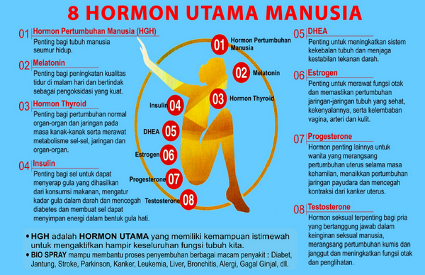 8 hormon manusia